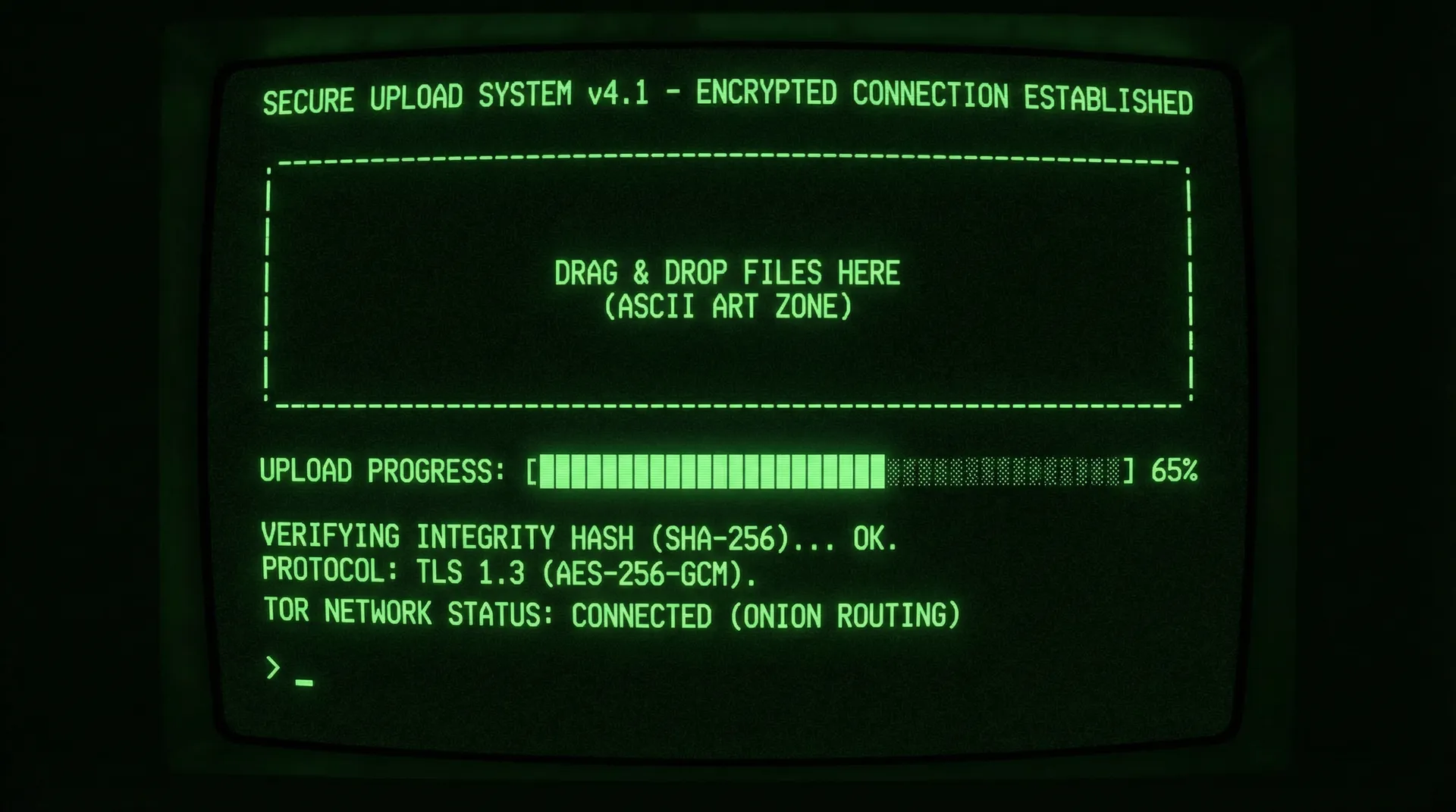 91视频 匿名上传安全系统加密传输界面